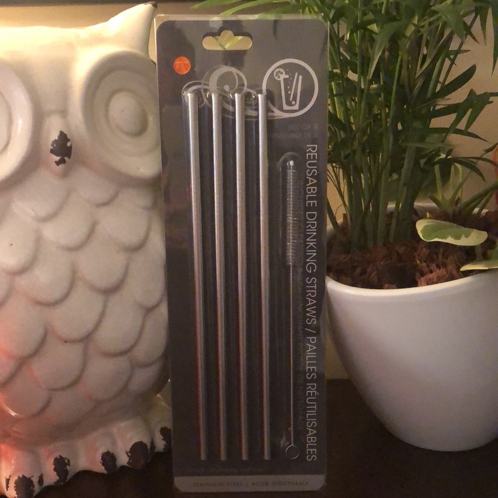 NEW Stainless Steel Set of 4 Drinking Straws Includes Cleaning Brush